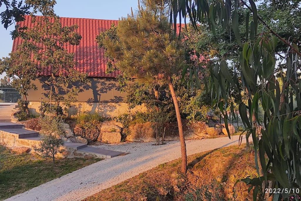 Villa Casa Do Neto. Anexo Vale Da Ginjeira. Quinta da Carrapata Exterior foto